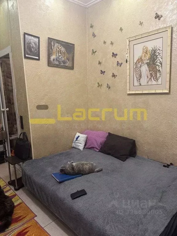 Студия Красноярский край, Красноярск ул. Маерчака, 5 (16.0 м) - Фото 2