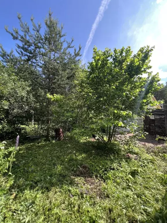 Дом в Тверская область, Калининский муниципальный округ, Труд (около ... - Фото 2