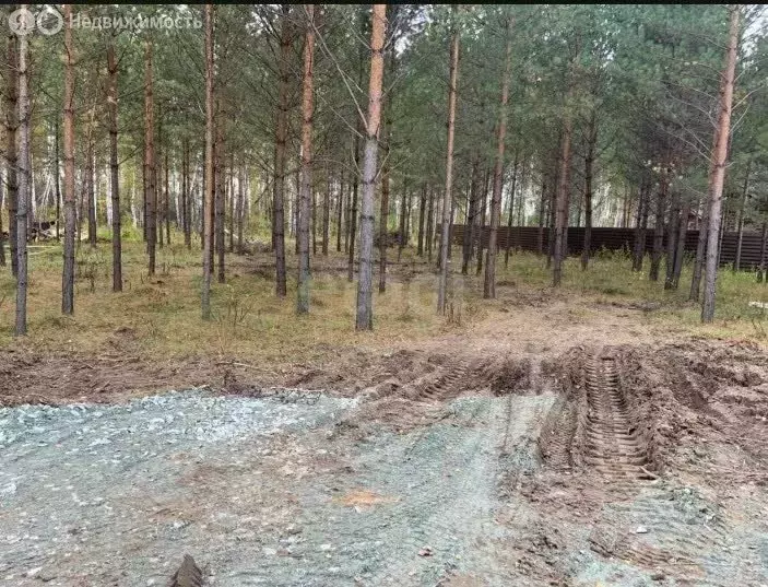 Участок в Кубовинский сельсовет, коттеджный посёлок Лаки Парк (17.65 ... - Фото 2