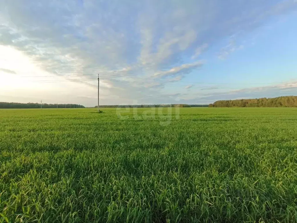 Участок в Тюменская область, Тюменский муниципальный округ, с. ... - Фото 1