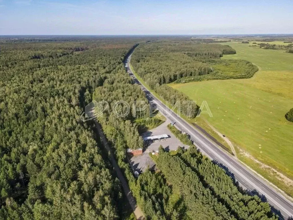 Участок в Тюменская область, Ярковский муниципальный округ, с. ... - Фото 2