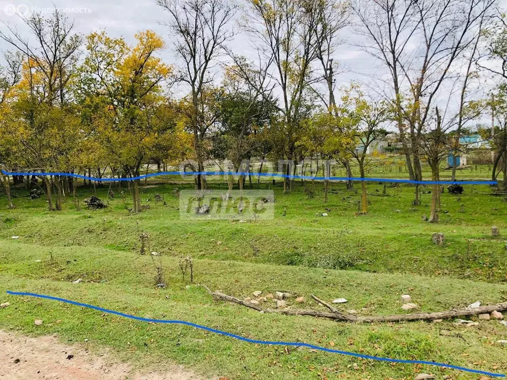 Участок в Кизлярский район, село Кардоновка (12 м) - Фото 1