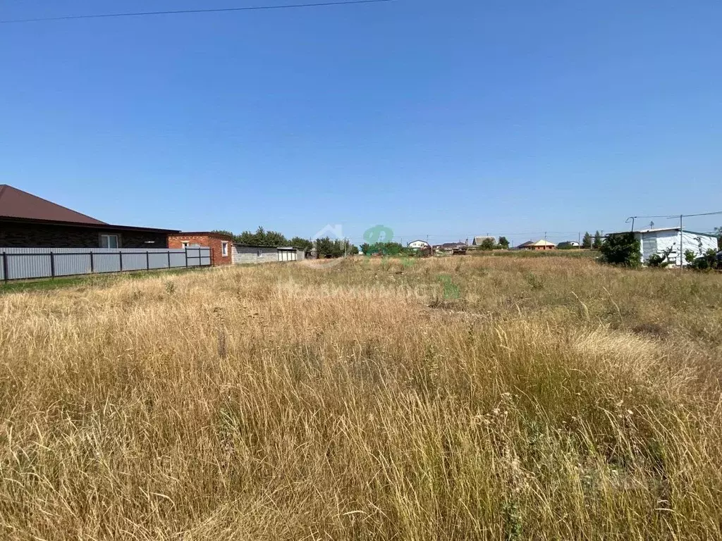 Участок в Краснодарский край, Ейский район, с. Кухаривка Северная ул. ... - Фото 1