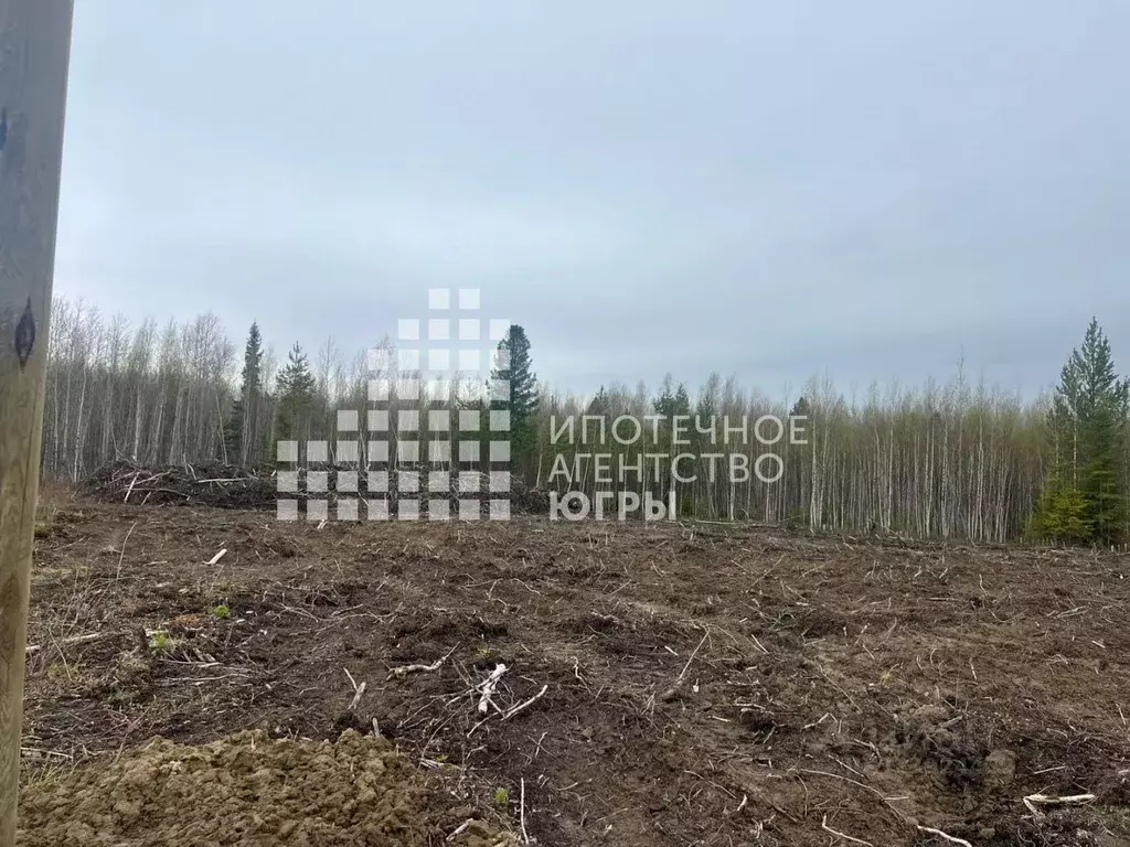 Участок в Ханты-Мансийский АО, Ханты-Мансийск Мир СОНТ,  (15.0 сот.) - Фото 2