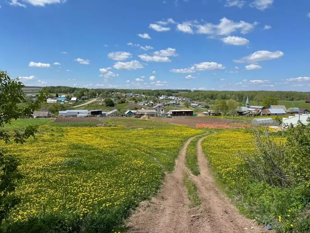 Участок в Татарстан, Высокогорский район, с. Большие Ковали Нагорная ... - Фото 0