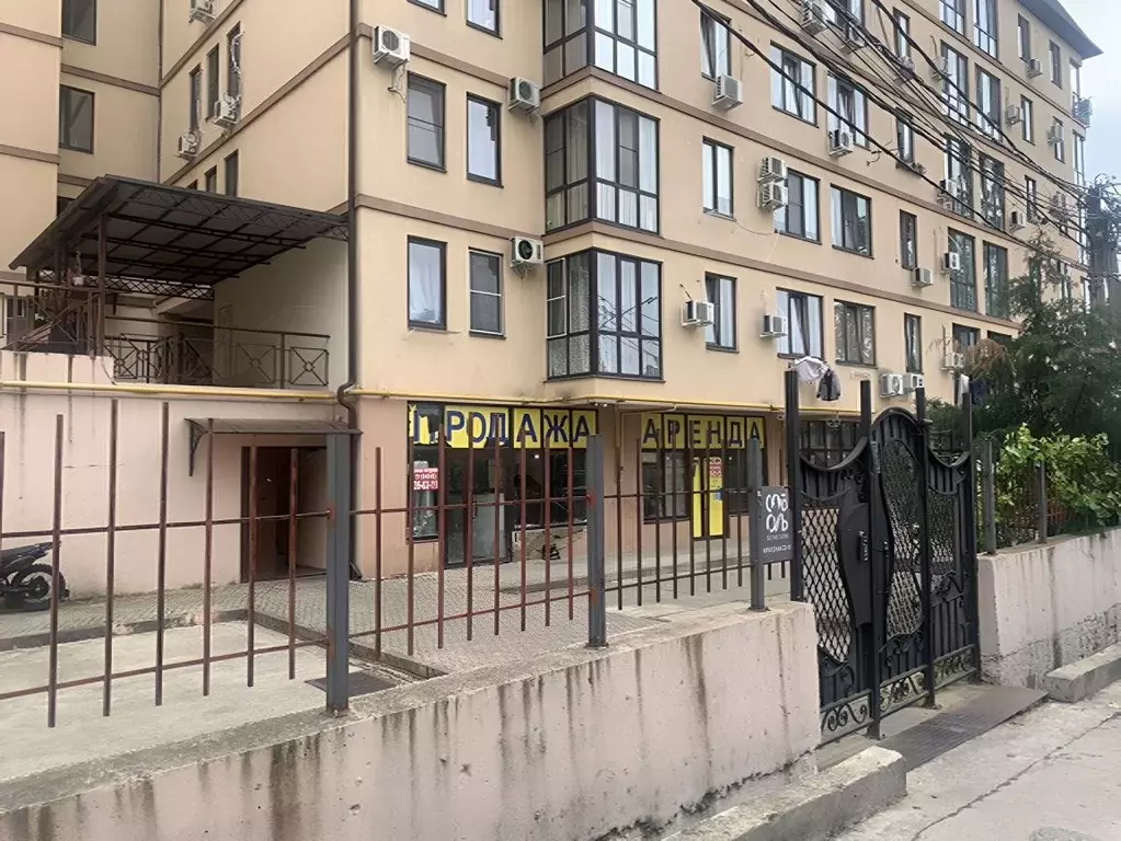 Помещение свободного назначения в Краснодарский край, Сочи ... - Фото 2