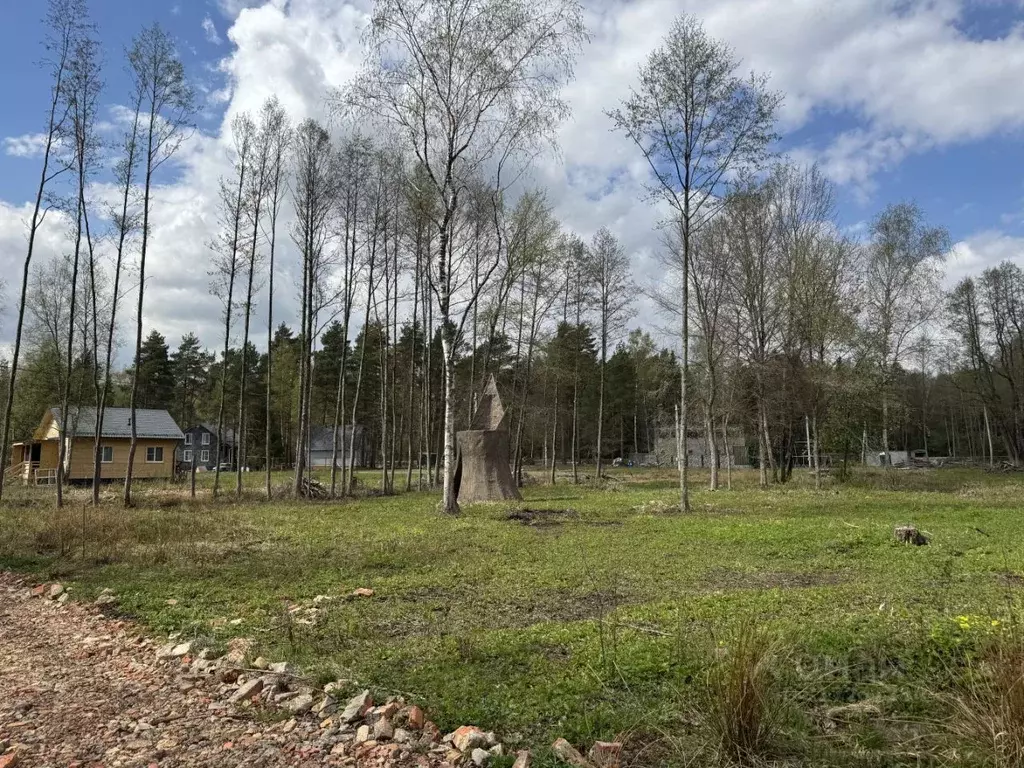 Участок в Московская область, Богородский городской округ, Южный зона ... - Фото 1