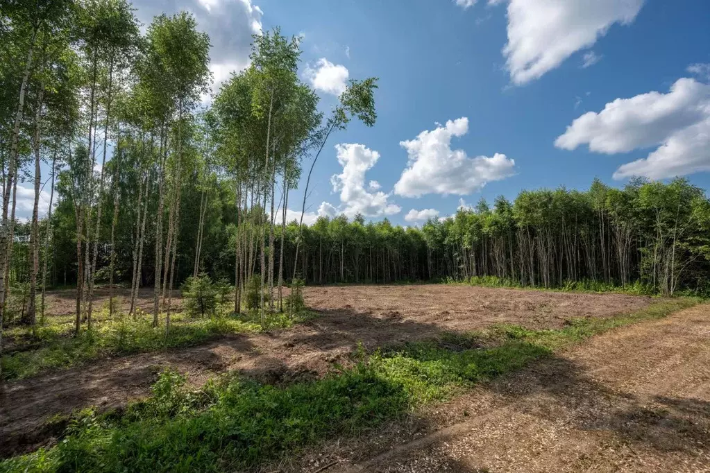 Участок в Владимирская область, Александровский район, Следневское ... - Фото 1