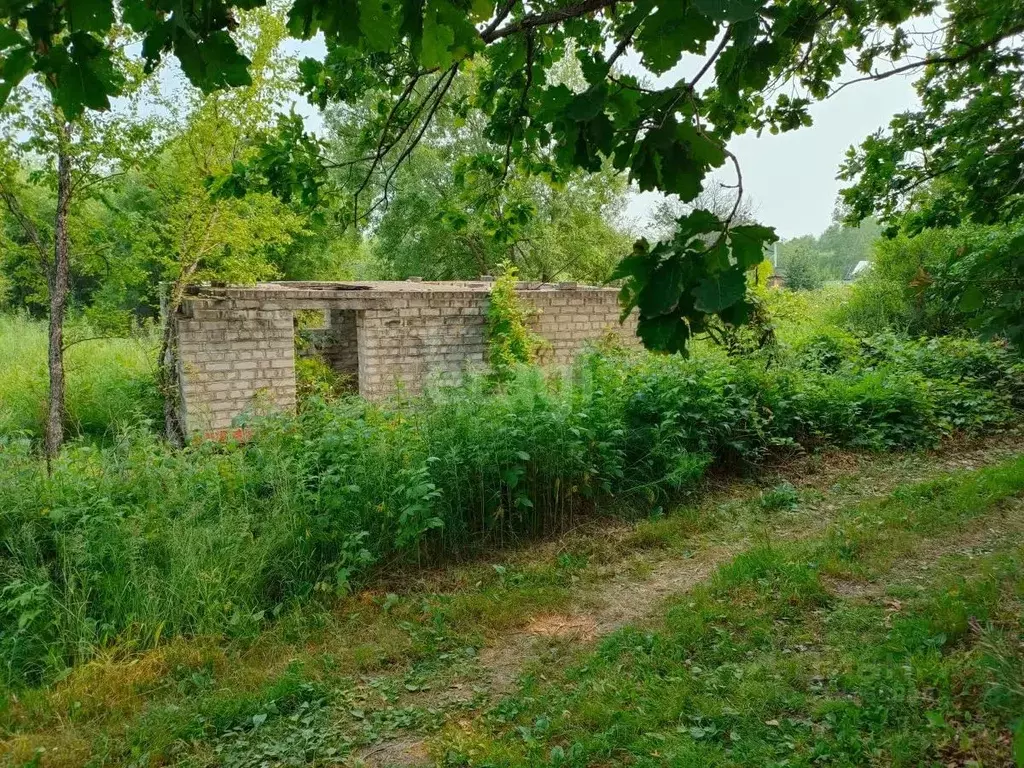 Участок в Амурская область, Благовещенск Солнечный СТ,  (6.0 сот.) - Фото 1