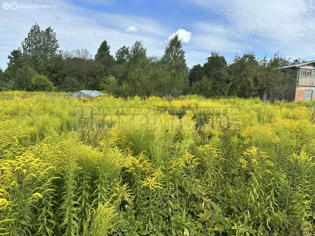Участок в Смоленск, улица Николаева (17.74 м) - Фото 1