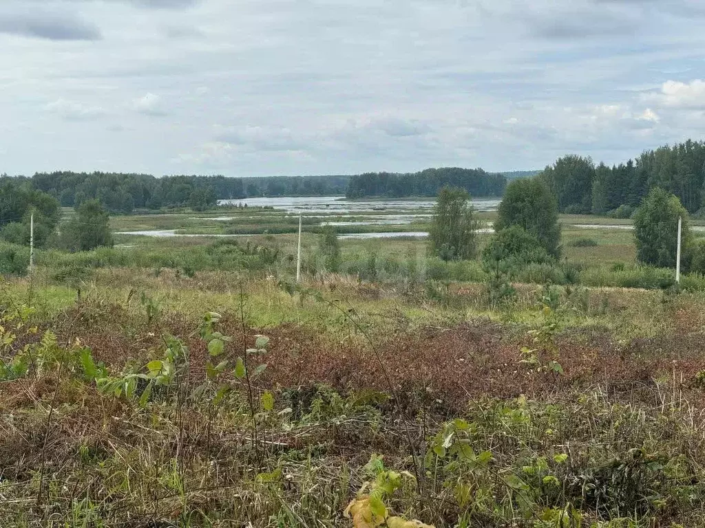 Участок в Костромская область, Красносельский район, Шолоховское ... - Фото 0