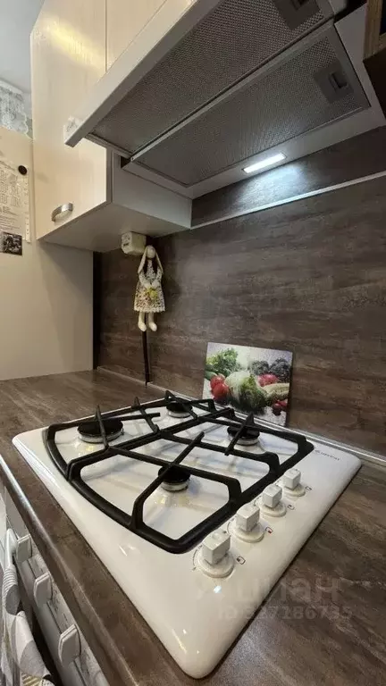 2-к кв. Башкортостан, Уфа Бакалинская ул., 66/5 (43.2 м) - Фото 2