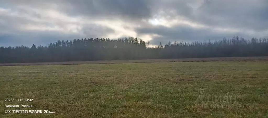 Участок в Ленинградская область, Гатчинский муниципальный округ, д. ... - Фото 1