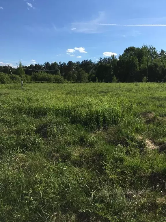 Участок в Тверская область, Калининский муниципальный округ, д. ... - Фото 1