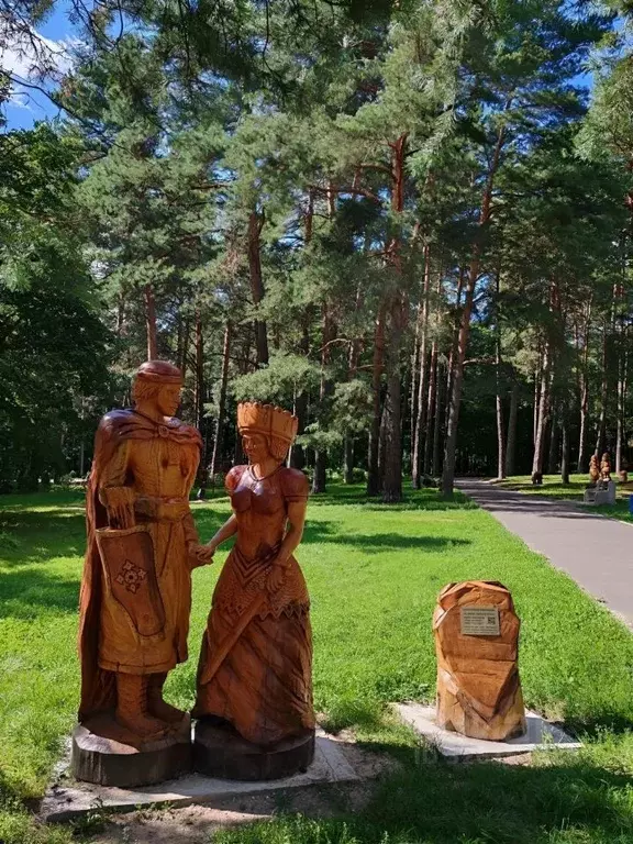 3-к кв. Тульская область, Алексин Центральная ул., 9 (56.0 м) - Фото 2