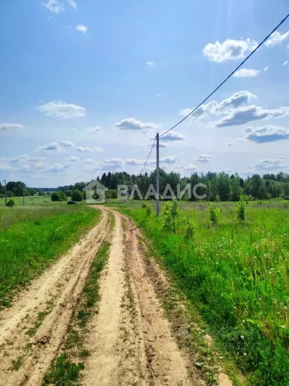 Участок в Вологодская область, пос. Грибково  (13.0 сот.) - Фото 0