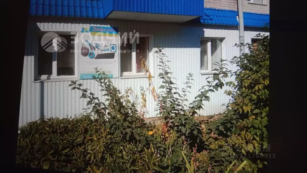 Помещение свободного назначения в Чувашия, Шумерля ул. Маршала Жукова, ... - Фото 0