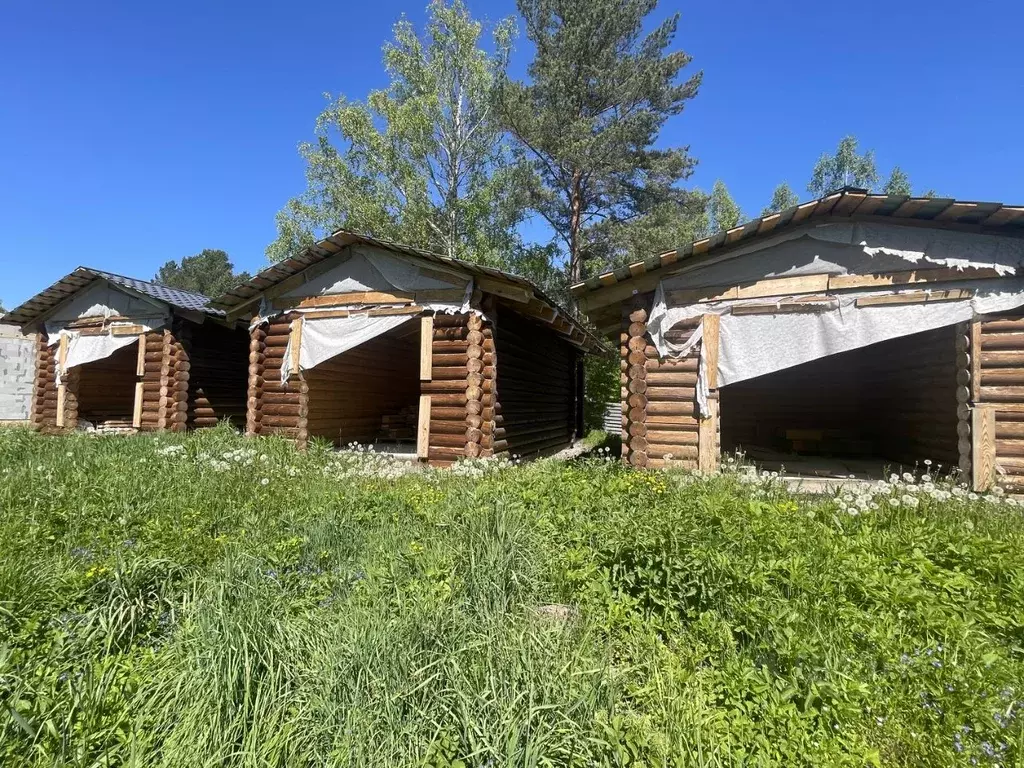 Участок в Алтай, Майминский район, Соузгинское с/пос, Катунь ДНП 39 ... - Фото 1