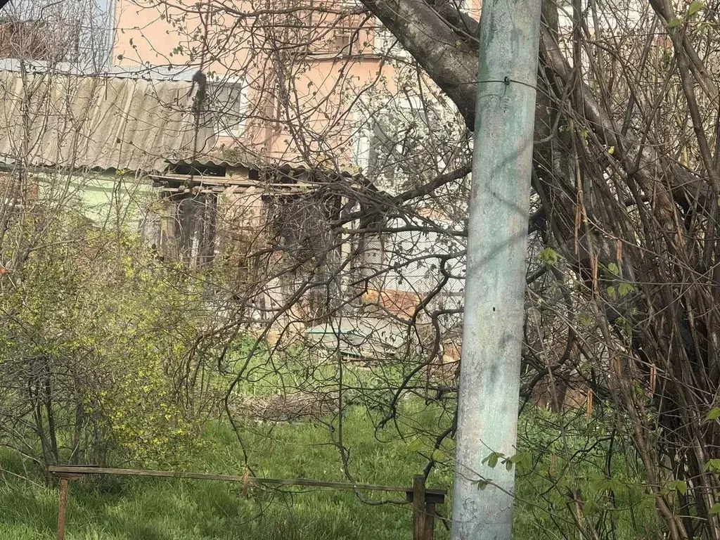 Участок 3 сот. (СНТ, ДНП) - Фото 1