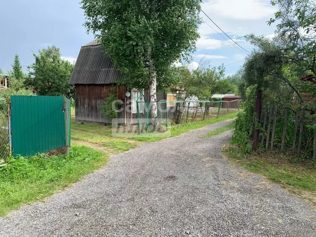 Дом в Новосибирская область, Новосибирск Темп СНТ, аллея Клюквенная ... - Фото 1