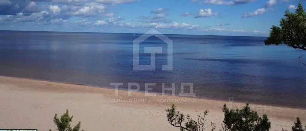 Участок в Ленинградская область, Приозерский район, Ларионовское ... - Фото 1