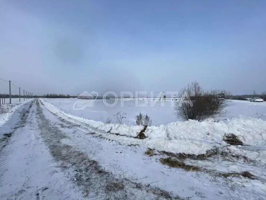 Участок в Тюменская область, Тюменский муниципальный округ, ... - Фото 1