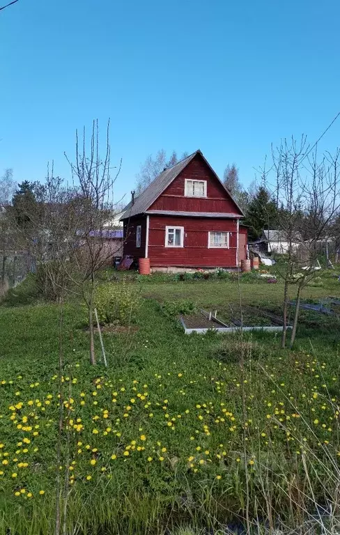Участок в Ленинградская область, Кировский район, Мгинское городское ... - Фото 1