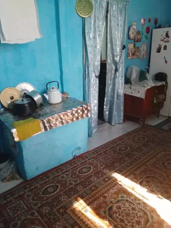 Дом в Челябинская область, с. Кунашак ул. Карла Маркса, 9 (28 м) - Фото 2