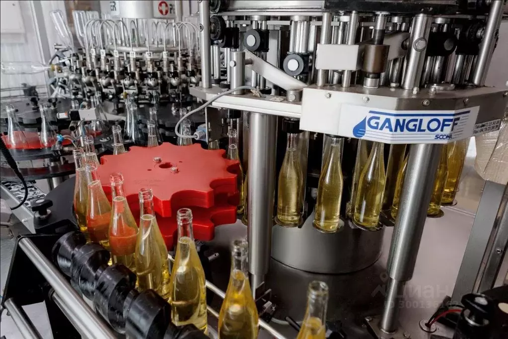 Производственное помещение в Краснодарский край, Северская ст-ца ул. ... - Фото 1