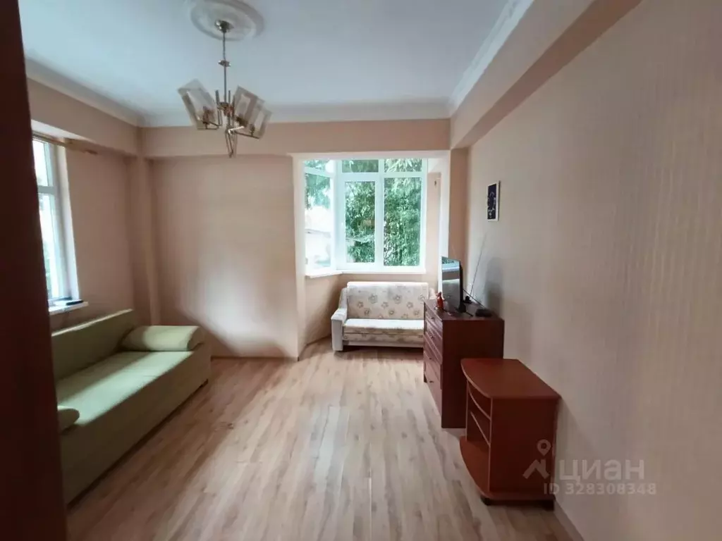 1-к кв. Краснодарский край, Сочи Завокзальный мкр, ул. Тоннельная, 45А ... - Фото 1