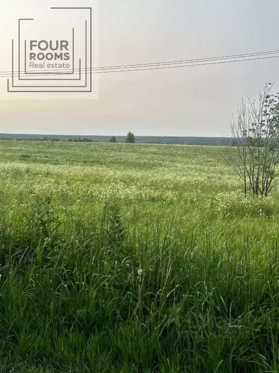 Участок в Ленинградская область, Ломоносовский район, Оржицкое с/пос, ... - Фото 0