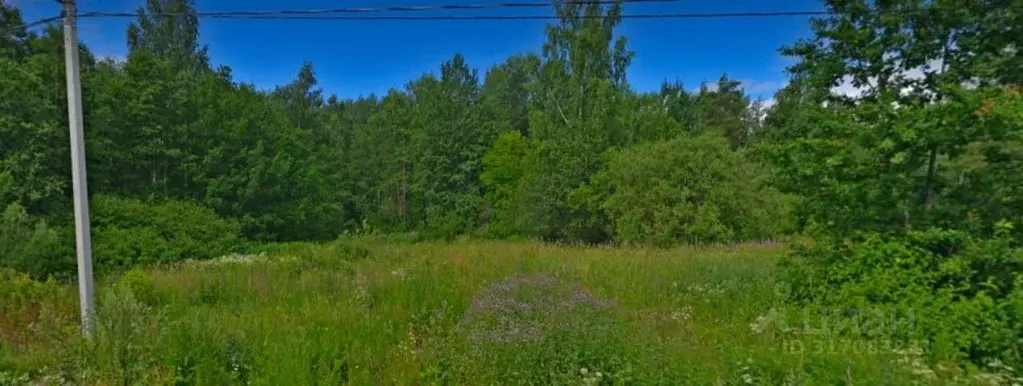 Участок в Ленинградская область, Ломоносовский район, Горбунковское ... - Фото 0