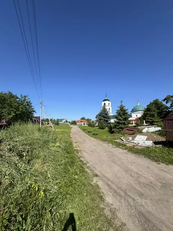 Участок в Нижегородская область, Нижний Новгород с. Большая Ельня, пл. ... - Фото 2