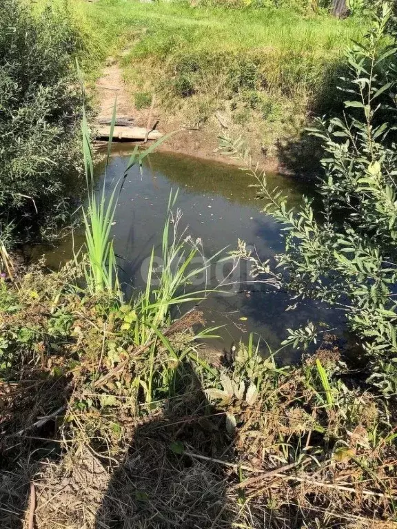 Купить Участок В Талдомском Село Новоникольское