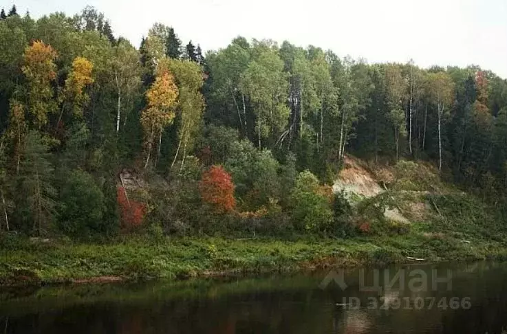 Участок в Ленинградская область, Волховский район, Хваловское с/пос, ... - Фото 2