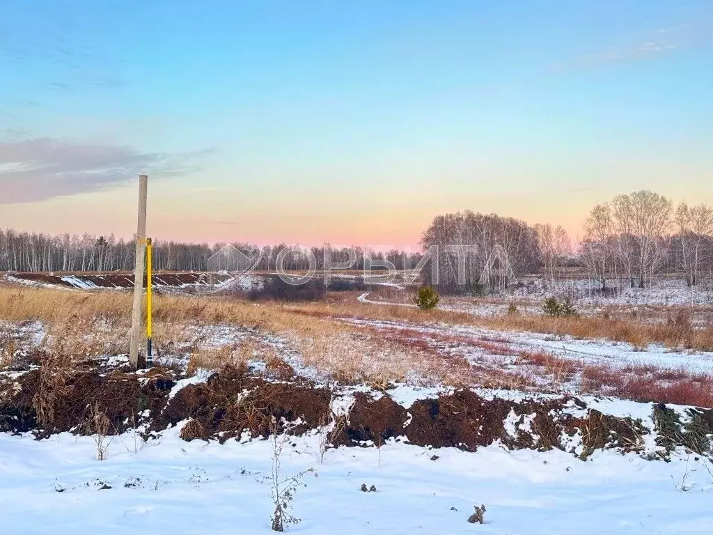 Участок в Тюменская область, Тюменский район, Новокаменский кп  (7.25 ... - Фото 1