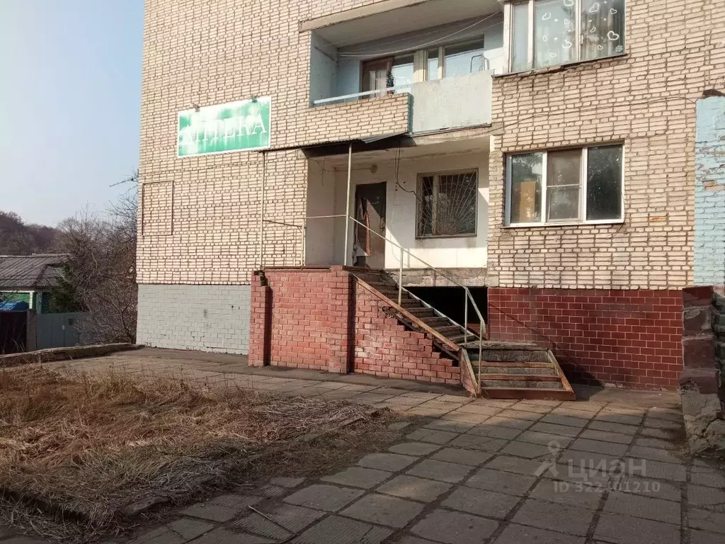 Помещение свободного назначения в Московская область, Старая Купавна ... - Фото 1