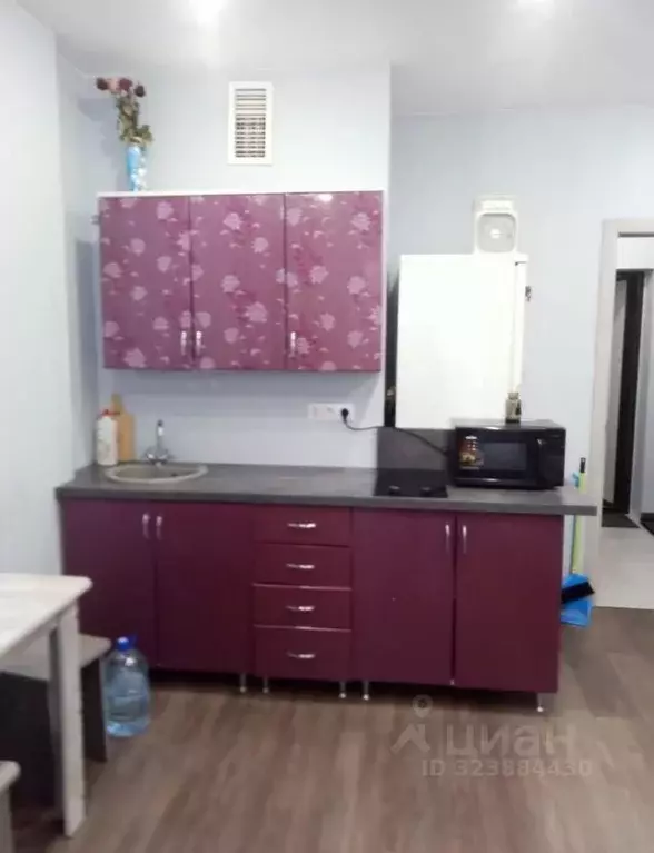 Студия Псковская область, Псковский район, Завеличенская волость, д. ... - Фото 1