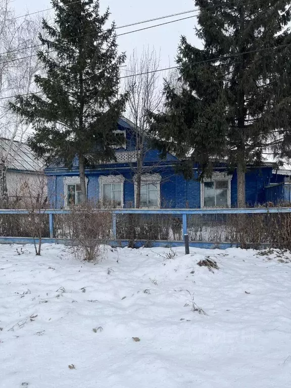 Дом в Омская область, Омский район, с. Троицкое  (94 м) - Фото 1