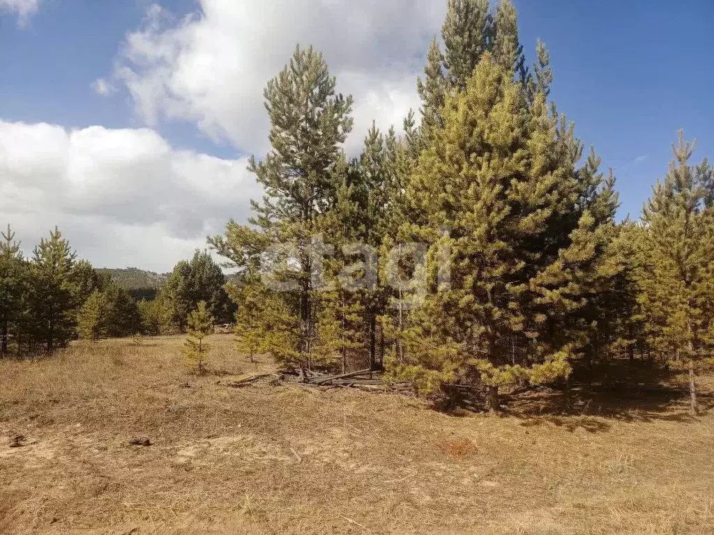 Участок в Бурятия, Тарбагатайский район, Заводское с/пос, Булаг ДНТ ... - Фото 2