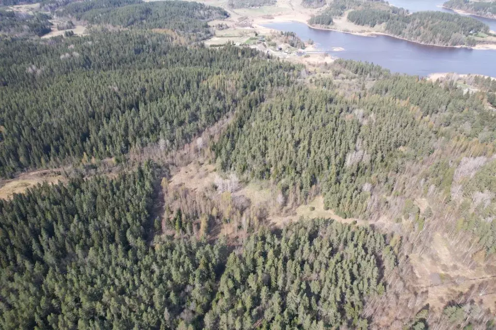 Участок в Карелия, Лахденпохский муниципальный округ, Куркиекское ... - Фото 1