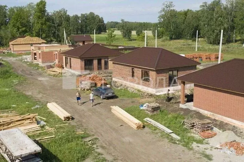 Участок в Новосибирская область, Новосибирский район, Морской ... - Фото 1