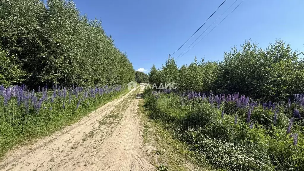 Участок в Владимирская область, Собинский муниципальный округ, д. ... - Фото 2