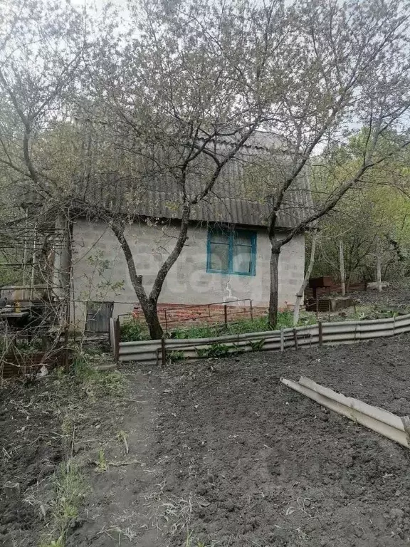 Дом в Белгородская область, Белгородский район, с. Стрелецкое, Садовые ... - Фото 0