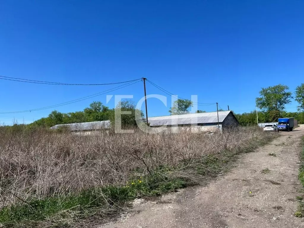 Помещение свободного назначения в Тульская область, Киреевский район, ... - Фото 1