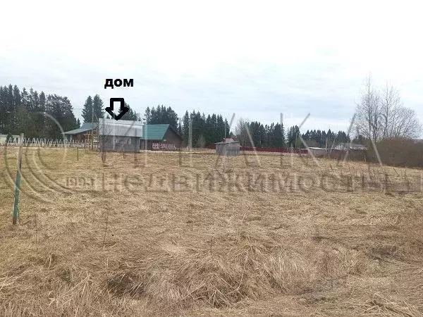 Дом в Ленинградская область, Волосовский район, Рабитицкое с/пос, д. ... - Фото 2