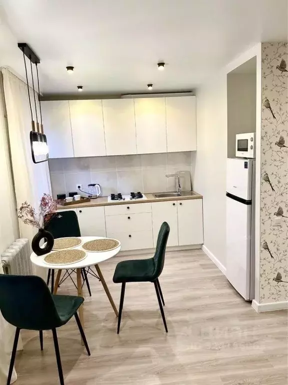 Студия Башкортостан, Уфа Революционная ул., 30/1 (33.0 м) - Фото 1