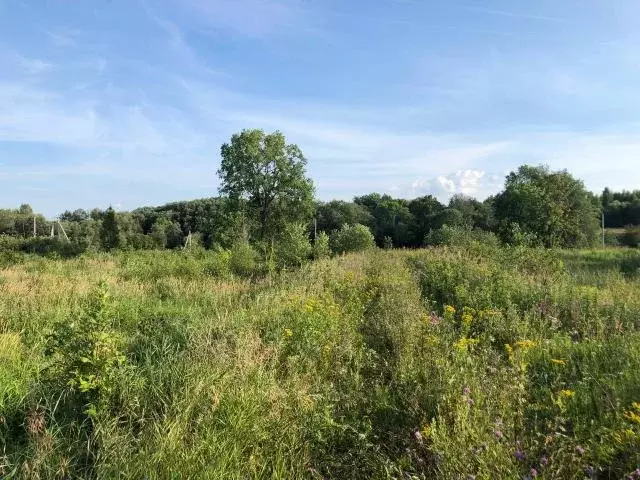 Продается участок в д. Маньково - Фото 1