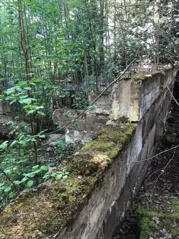 Участок в Ленинградская область, Выборгский район, Каменногорское ... - Фото 1