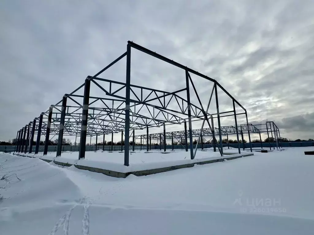 Склад в Московская область, Богородский городской округ, д. Большое ... - Фото 1